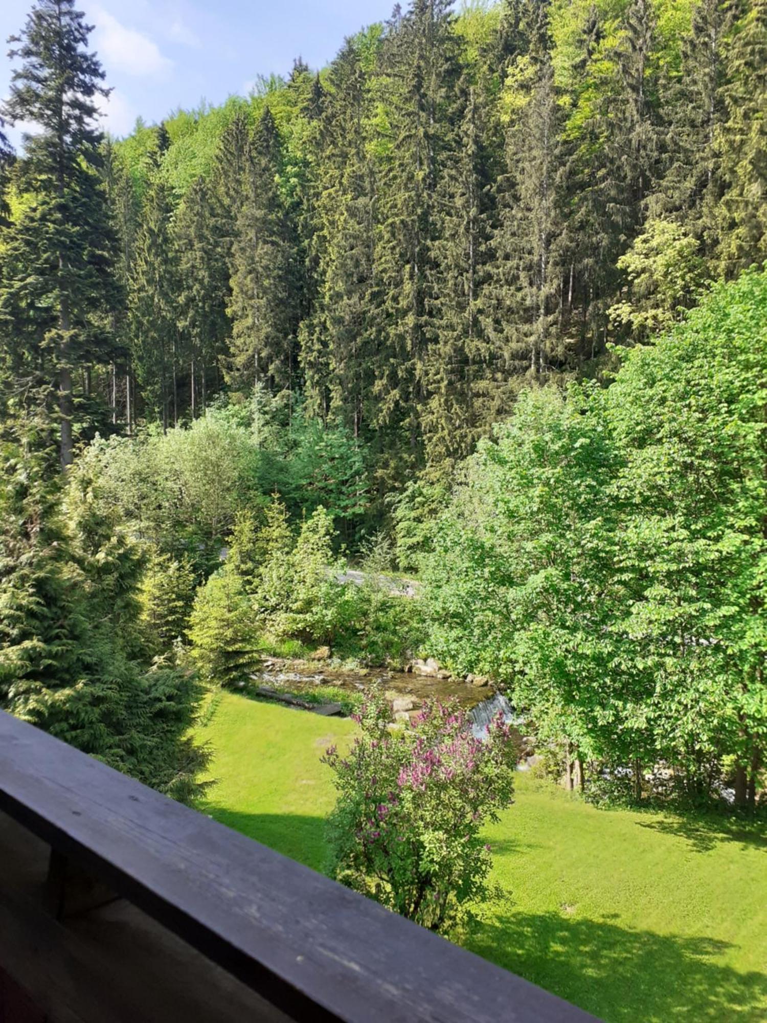 Apartamenty Kaskada Miedzygorze Szoba fotó