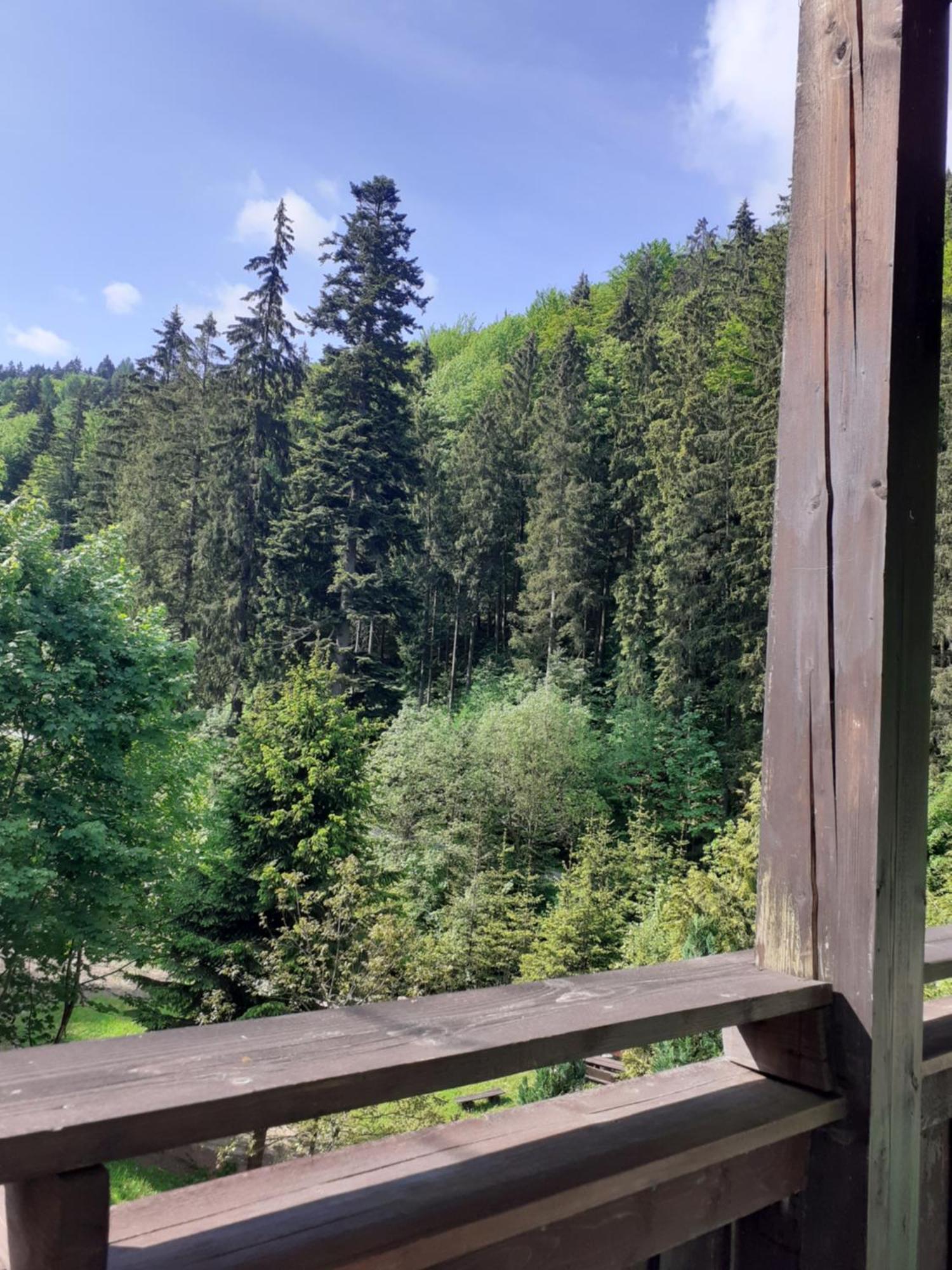 Apartamenty Kaskada Miedzygorze Szoba fotó